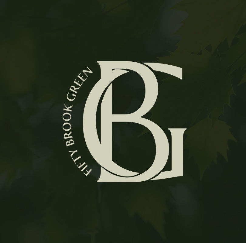 hp_BG1a