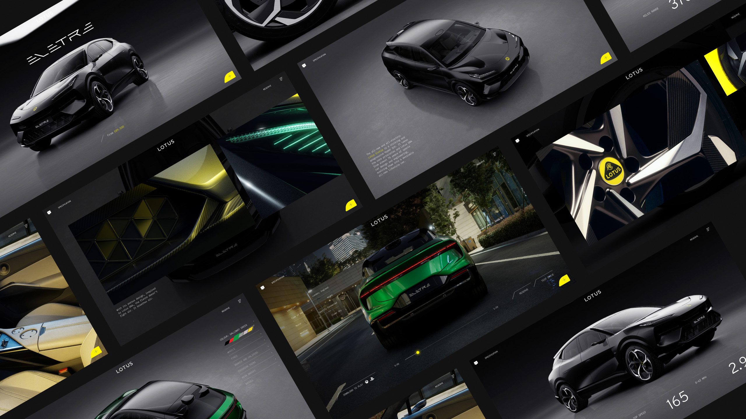 lotus_img1a