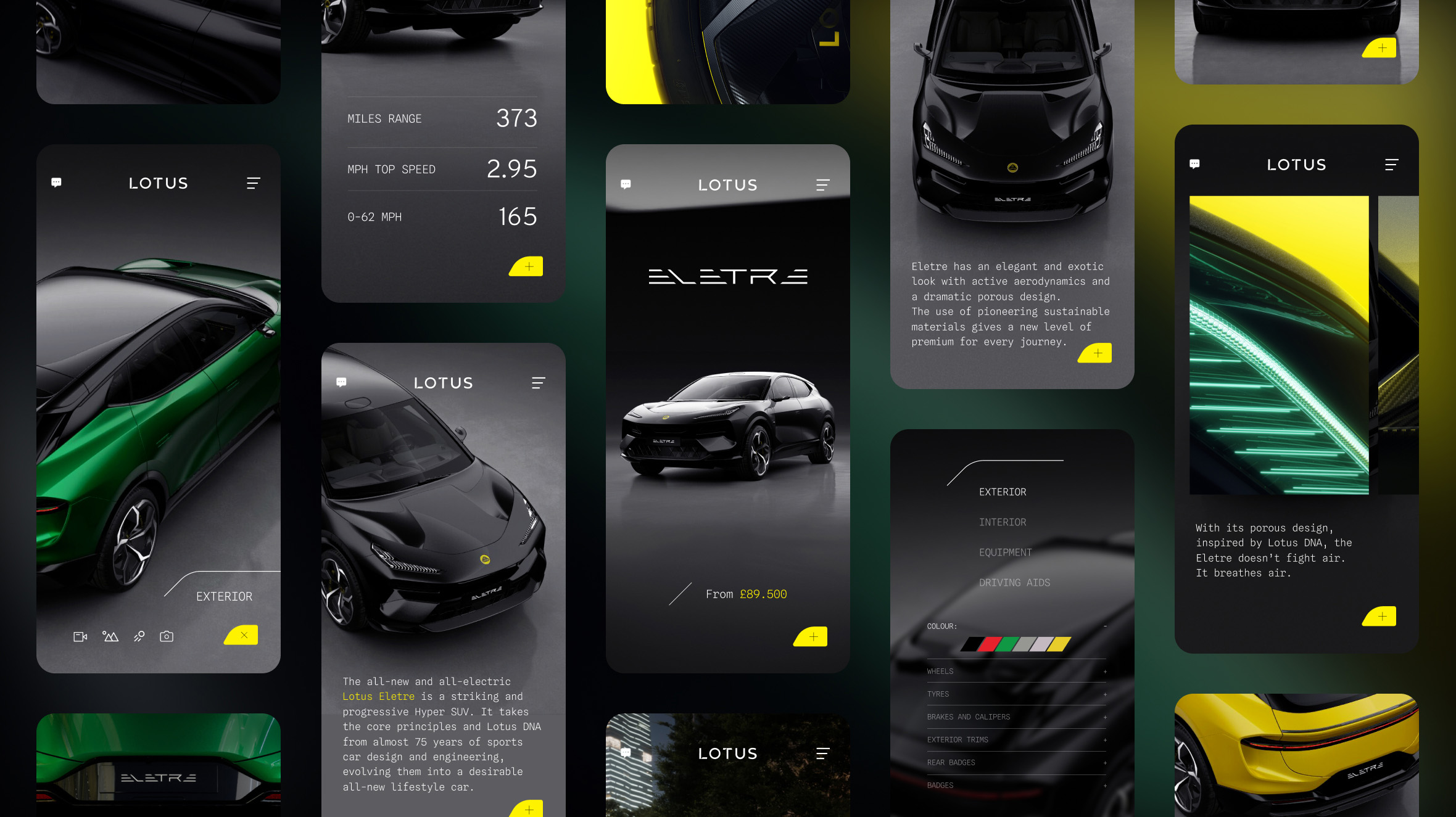 pp_lotus_img13